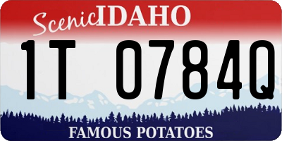 ID license plate 1T0784Q