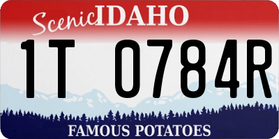 ID license plate 1T0784R