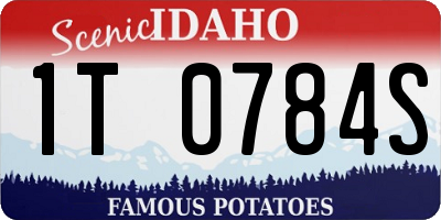 ID license plate 1T0784S
