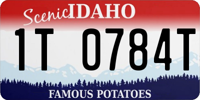 ID license plate 1T0784T