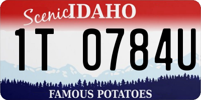 ID license plate 1T0784U