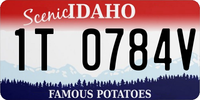 ID license plate 1T0784V