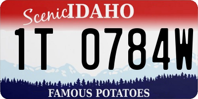 ID license plate 1T0784W