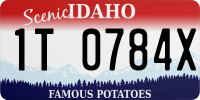 ID license plate 1T0784X