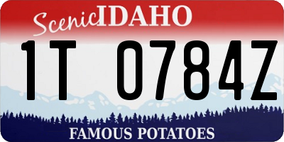 ID license plate 1T0784Z