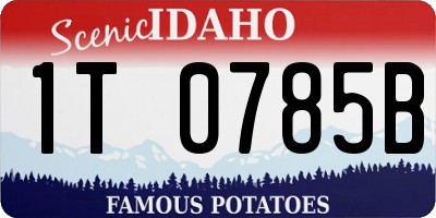 ID license plate 1T0785B