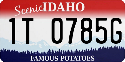 ID license plate 1T0785G