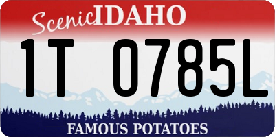 ID license plate 1T0785L