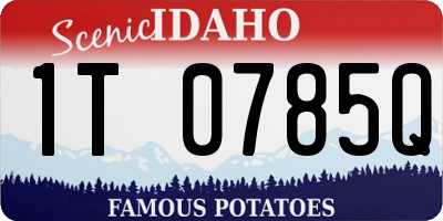 ID license plate 1T0785Q