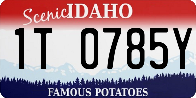 ID license plate 1T0785Y