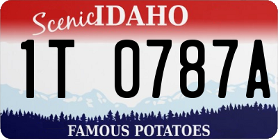 ID license plate 1T0787A