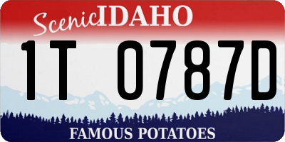 ID license plate 1T0787D