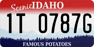ID license plate 1T0787G