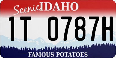 ID license plate 1T0787H