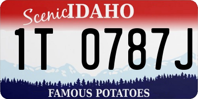 ID license plate 1T0787J