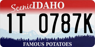 ID license plate 1T0787K