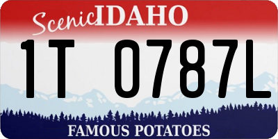 ID license plate 1T0787L