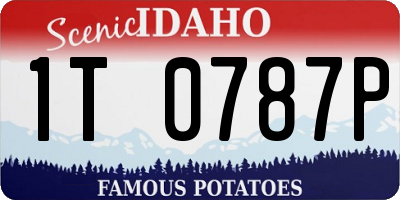 ID license plate 1T0787P