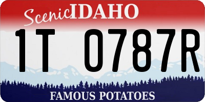 ID license plate 1T0787R