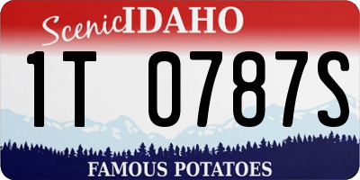 ID license plate 1T0787S