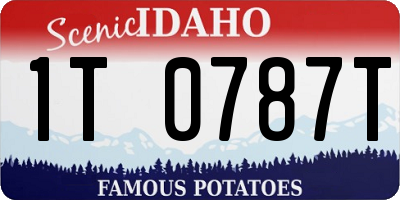 ID license plate 1T0787T