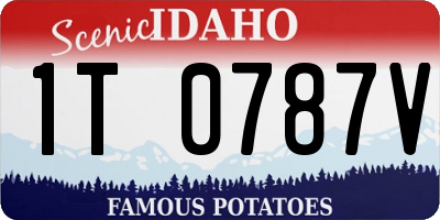 ID license plate 1T0787V