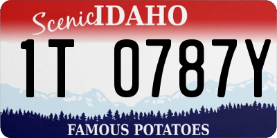 ID license plate 1T0787Y
