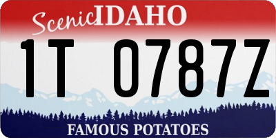 ID license plate 1T0787Z