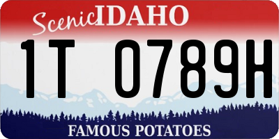 ID license plate 1T0789H