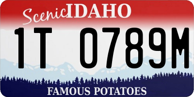 ID license plate 1T0789M