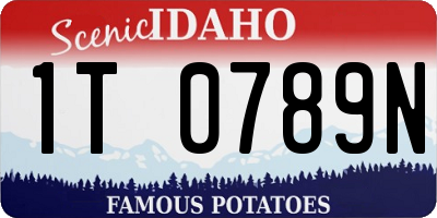 ID license plate 1T0789N