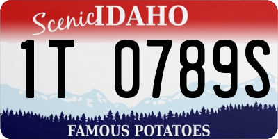 ID license plate 1T0789S
