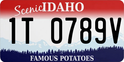 ID license plate 1T0789V