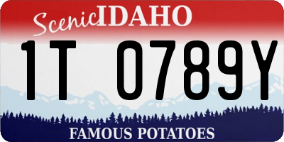 ID license plate 1T0789Y
