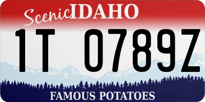 ID license plate 1T0789Z
