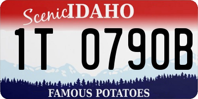ID license plate 1T0790B