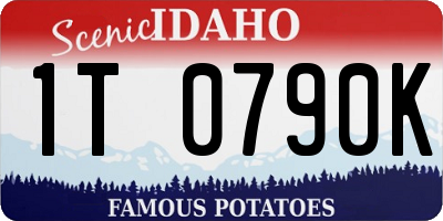 ID license plate 1T0790K