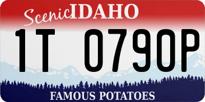 ID license plate 1T0790P