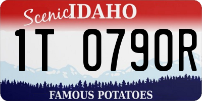 ID license plate 1T0790R