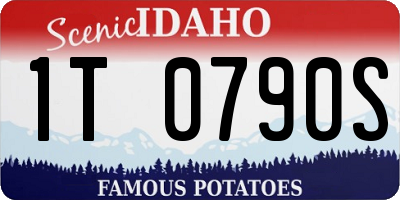 ID license plate 1T0790S