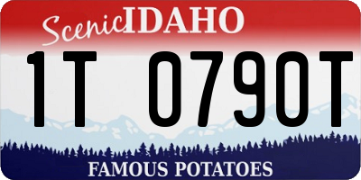 ID license plate 1T0790T
