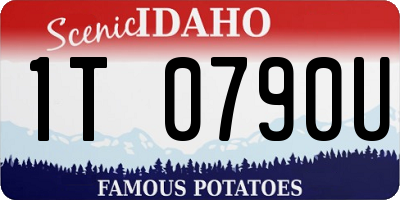 ID license plate 1T0790U