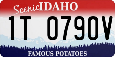 ID license plate 1T0790V