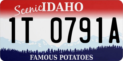 ID license plate 1T0791A