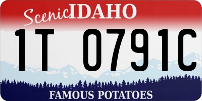 ID license plate 1T0791C