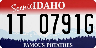 ID license plate 1T0791G