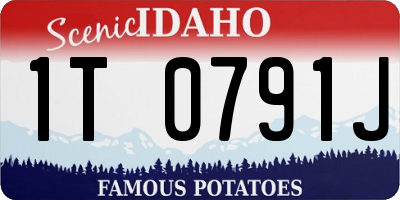 ID license plate 1T0791J