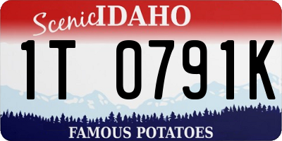 ID license plate 1T0791K