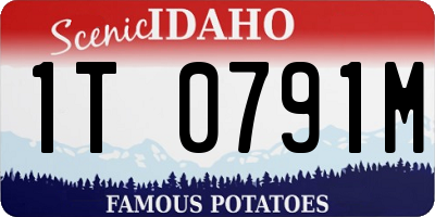 ID license plate 1T0791M