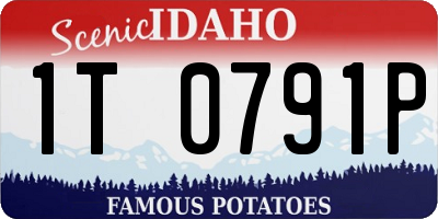 ID license plate 1T0791P